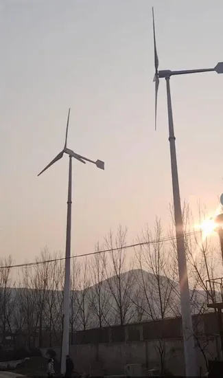 Silent Operation 100W Wind Turbine for Street Lighting Solutions